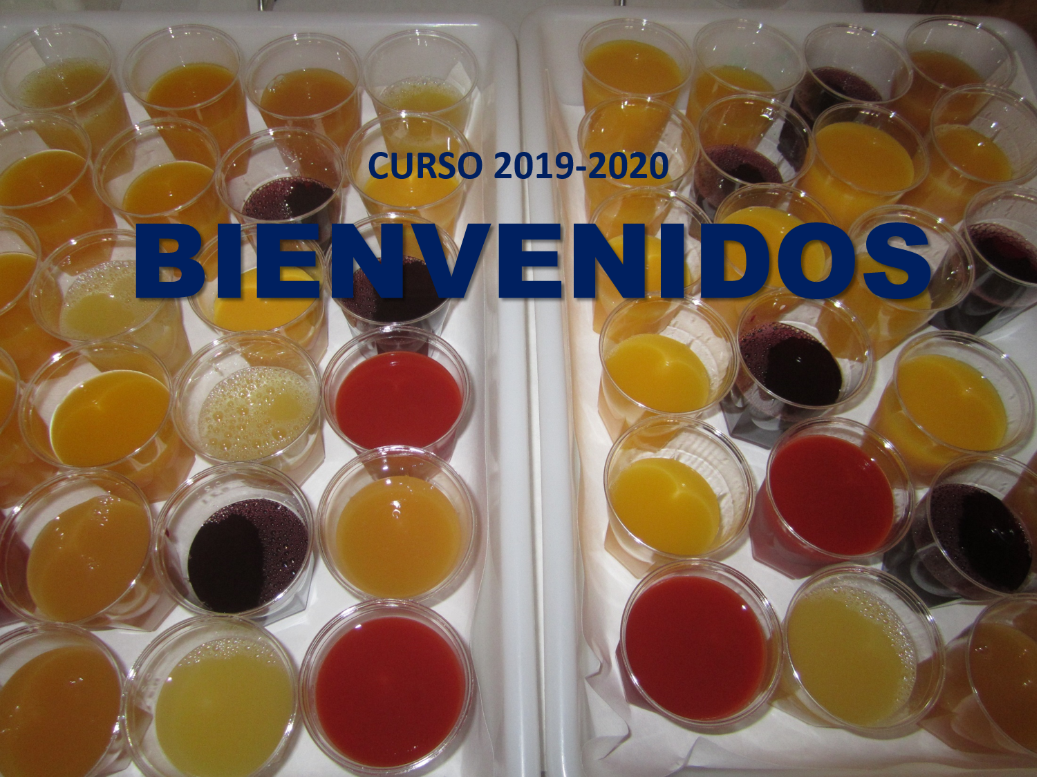 INICIO DEL CURSO 2019-2020. LUNES 16 DE SEPTIEMBRE